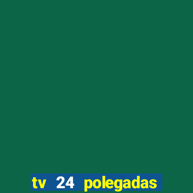 tv 24 polegadas casas bahia